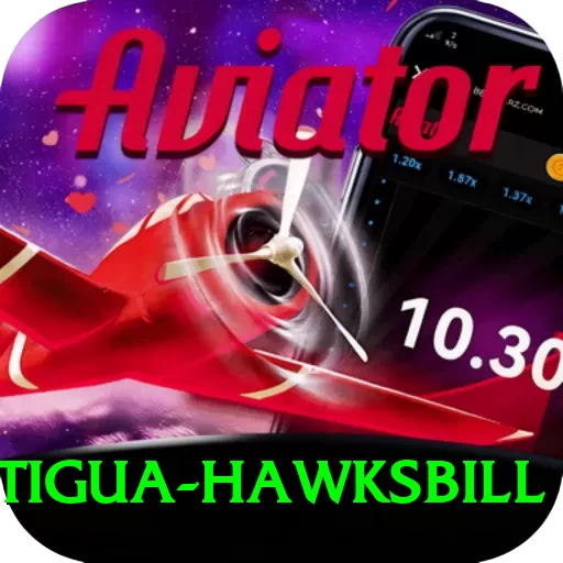 antigua hawksbill Turbo v1.9.6 - 2