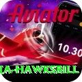 antigua hawksbill Turbo v1.9.6