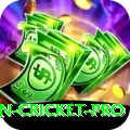 australian cricket Legend APK v2.6.4