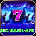 bbl big bash apk Elite v3.0.9