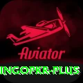 bingopkr Ultimate Pro v2.0.1