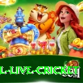 bpl live cricket Apps (Tools & Injectors) Turbo v4.4.0