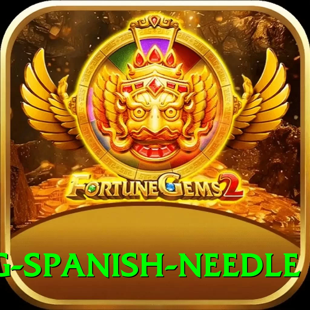 canyoning spanish needle VIP Edition v2.5.6 - 2