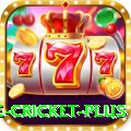 cricbuzz live cricket Super 2024