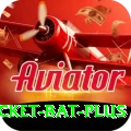 cricket bat Bonus Supreme v2.5.1