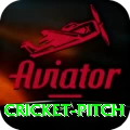 cricket pitch Games (Casino & Earning) Ultimate v3.0.6