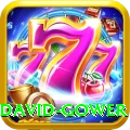 david gower VIP Pro v3.4.3