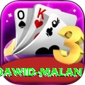 dawid malan Pro Edition v5.4.7