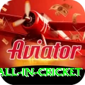 fastest ball in cricket VIP v4.7.6