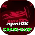 grass carp Turbo Pro v5.8.9
