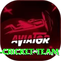 hong kong cricket team Apps (Tools & Injectors) VIP v1.3.2