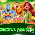 india cricket match Ultimate Pro v5.8.1