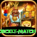 india pakistan cricket match Pro Max v2.1.4