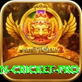 india pakistan cricket - Slots Champion