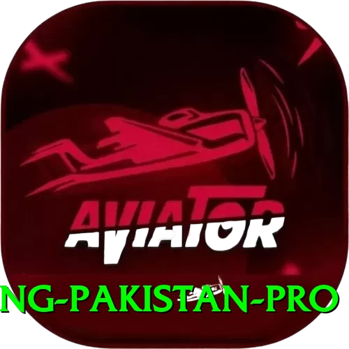 IPL Betting Pakistan Mega Pakistan - 2