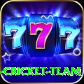 ireland cricket team Pro1 v4.1.0
