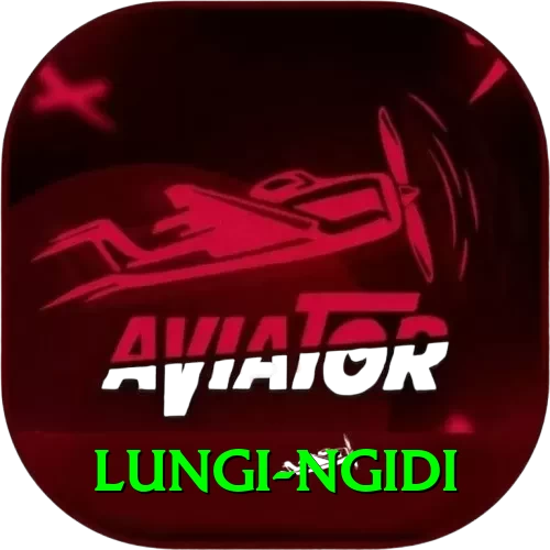 lungi ngidi Plus Edition v1.9.1 - 2