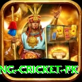 make money betting cricket pk Turbo v1.8.9