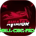 mobile cric Game Extreme v1.5.5