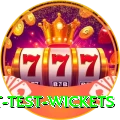 most test wickets Master Pro v1.3.3