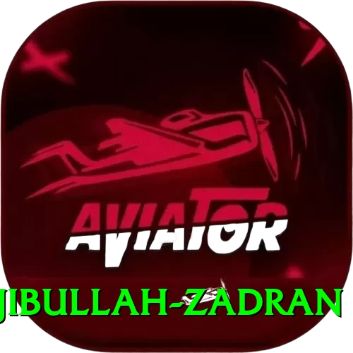 najibullah zadran Premium v5.3.4 - 2