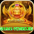naseem shah yorkers Ultimate v3.9.3