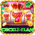 new zealand cricket team VIP Pro v5.2.2