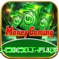 online cricket Casino Official v3.1.4