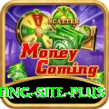Pakistan Betting Site Money Elite v5.3.2