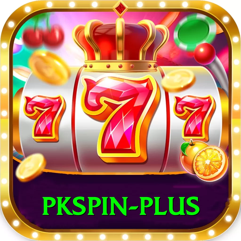 pkspin VIP Edition v3.7.2 - 2