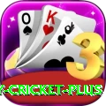 play cricket Champion APK v4.8.9