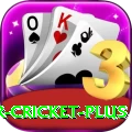 r cricket - Slots Premium