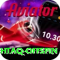 saqlain mushtaq offspin Max v1.2.1