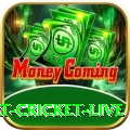 smart cricket live Deluxe v3.3.3