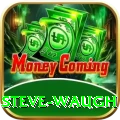 steve waugh Ultimate v5.0.2