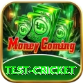 test cricket Deluxe Edition v4.0.3