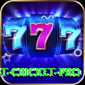 test cricket - Deluxe Edition v3.1.8