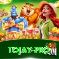 tojay Live Supreme v1.3.2