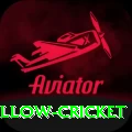 willow cricket Games (Casino & Earning) Deluxe v1.6.1