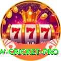 willow cricket - Slots Turbo